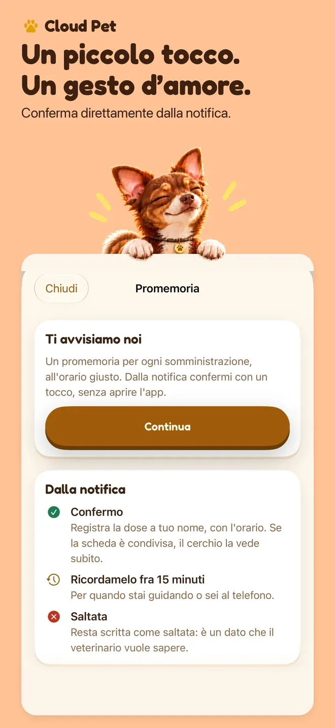 Un piccolo tocco. Un gesto d’amore.. Conferma direttamente dalla notifica.